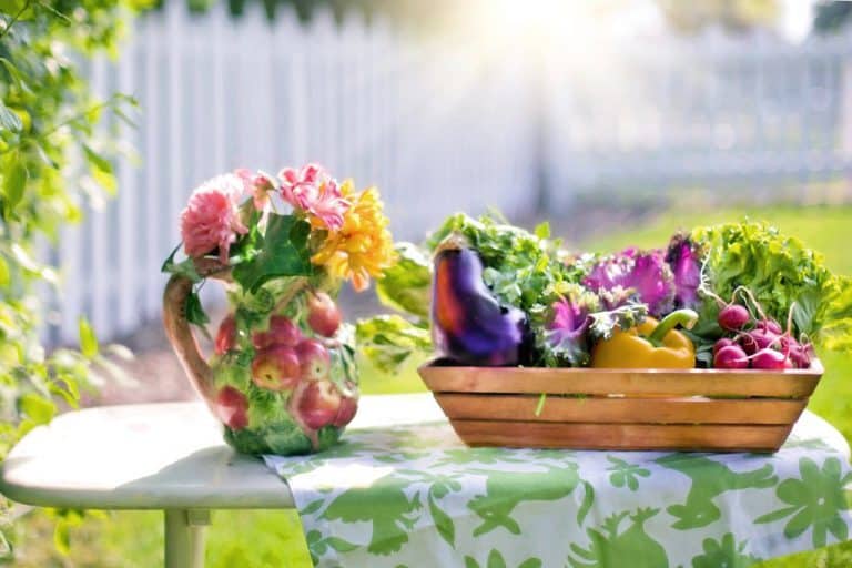 Peau et alimentation : ce que l'on sait vraiment